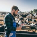 Young farmer is working on farm with dairy cows. Agriculture industry, farming.